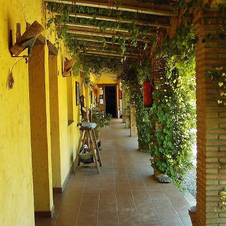 Hotel Rural La Cimbarra Aldeaquemada 外观 照片