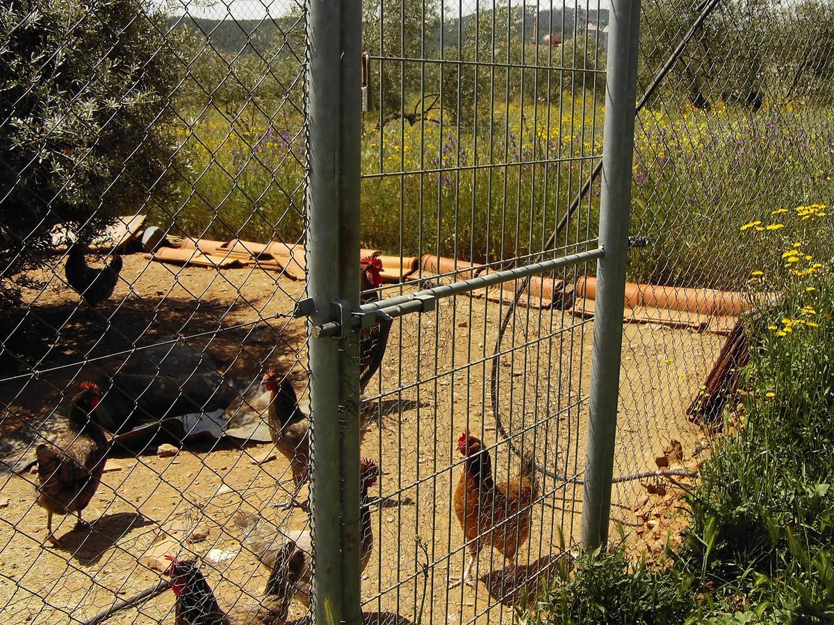 Hotel Rural La Cimbarra Aldeaquemada 外观 照片
